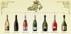 西班牙菲斯奈特卡特卢那金牌起泡葡萄酒Freixenet Carta Nevada Brut Cava, Catalonia, Spain 商品缩略图1