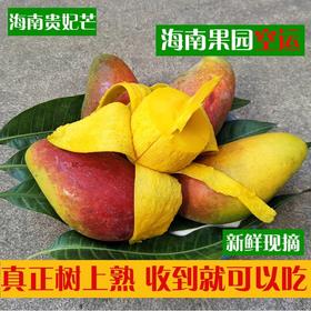 【顺丰】海南树上熟贵妃芒果到果直接可以吃红金龙熟果海南直发4-8斤包邮