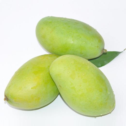 青芒果5斤单个300克