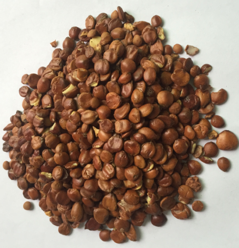 理枣仁(2斤装）