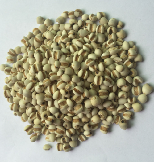 熟（小）薏米（5斤装）