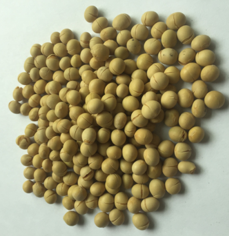 熟黄豆（5斤装）