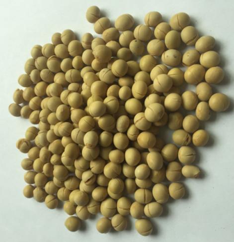 熟黄豆（5斤装） 商品图0