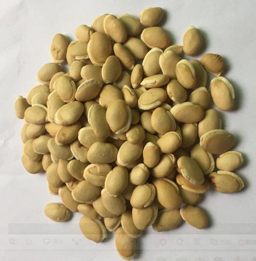 熟白扁豆（5斤装） 商品图0