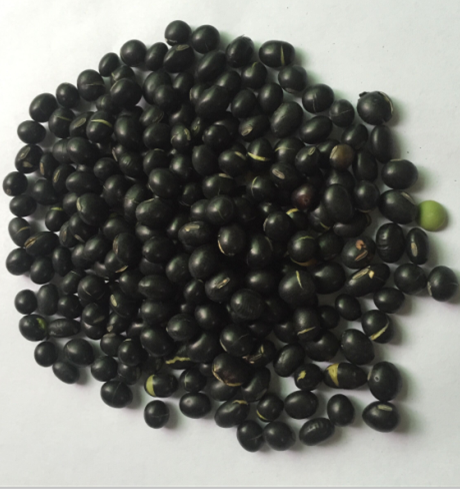 熟黑豆（5斤装）