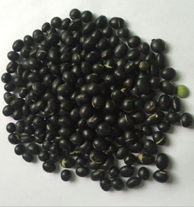 熟黑豆（5斤装）