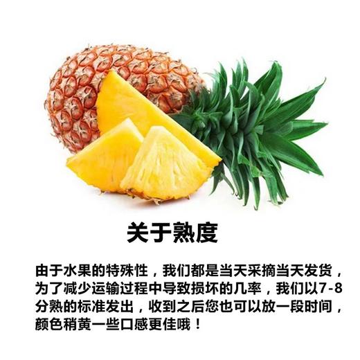 【特惠】海南金钻凤梨甜过哈蜜瓜 台湾品种非菠萝 现摘现发5斤9斤装包邮 商品图3