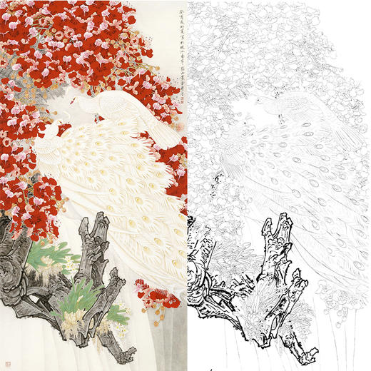 竖幅工笔花鸟白描底稿周彦生孔雀花中俏多种白描尺寸可选qn26