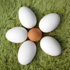 跑山慢养大鹅蛋