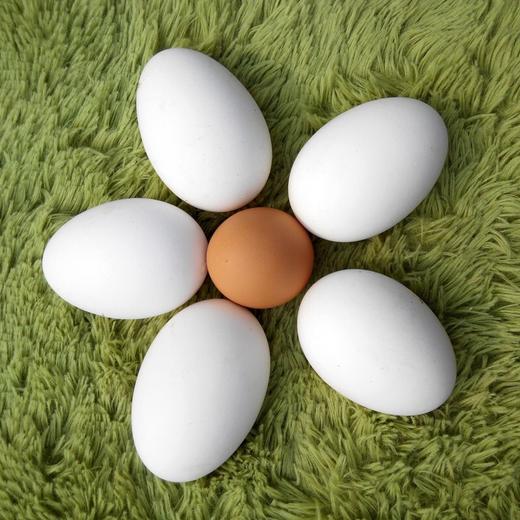 跑山慢养大鹅蛋 商品图0