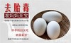 跑山慢养大鹅蛋 商品缩略图1
