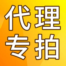 代理商付款专拍