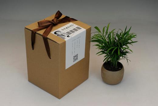 布尔迪厄作品集（全4册 共5本） 商品图3