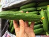 【宏丰精选】水果小黄瓜 清爽可口 可直接生吃  活动价8.8一斤 商品缩略图9