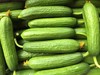 【宏丰精选】水果小黄瓜 清爽可口 可直接生吃  活动价8.8一斤 商品缩略图10