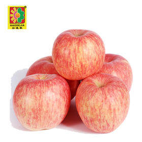 【百汇到家】栖霞富士苹果