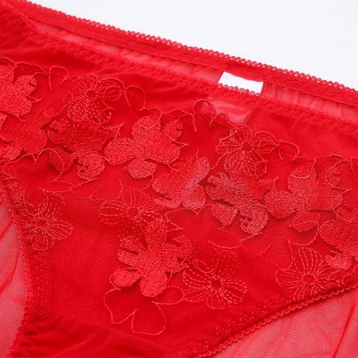 内裤 奶糖派繁华若梦配套刺绣内裤204A008 商品图2