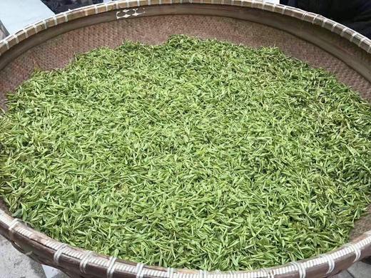 绿茶.龙井 800元/500克、京津同城包郵 商品图2