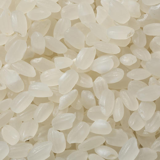 2025新米谷怡斋大米 丹东产 有机越光米 5kg 商品图4