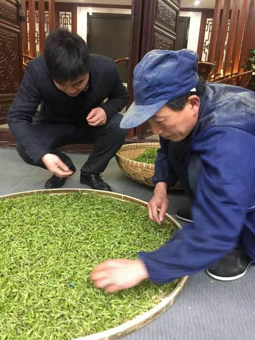 绿茶.龙井 800元/500克、京津同城包郵 商品图1