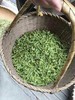 绿茶.龙井 800元/500克、京津同城包郵 商品缩略图3