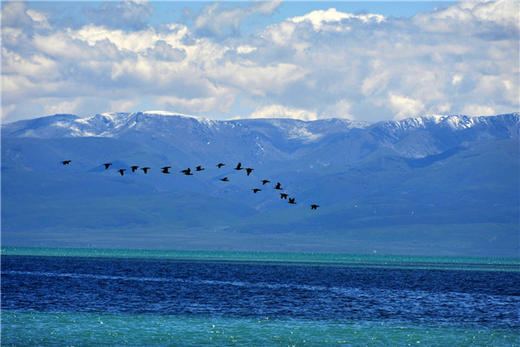 【丝路5日】青海湖+塔尔寺+嘉峪关+敦煌莫高窟+鸣沙山月牙泉5日游 商品图1