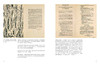 包豪斯 1919—1933（引进版权）（畅销十八年！欧洲建筑专业学生人手一册！世界知名艺术出版社Taschen授权！） 商品缩略图5