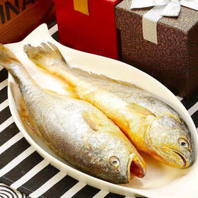 冷冻大黄鱼黄花鱼顺丰快递运费满500元包邮