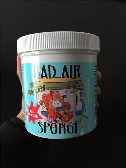 白宫御用：美国Bad Air Sponge 空气净化剂400g*5罐 商品图3