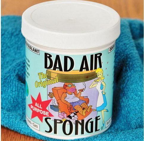 白宫御用：美国Bad Air Sponge 空气净化剂400g*5罐 商品图2