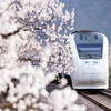 周三/清明1天【花海列车68元】开往春天的列车の枝花正盛-春光正好-长城内外-分外妖娆-居庸关长城 商品缩略图5