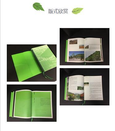 助力城市绿色崛起-济南市山体生态修复实践与探索 商品图2