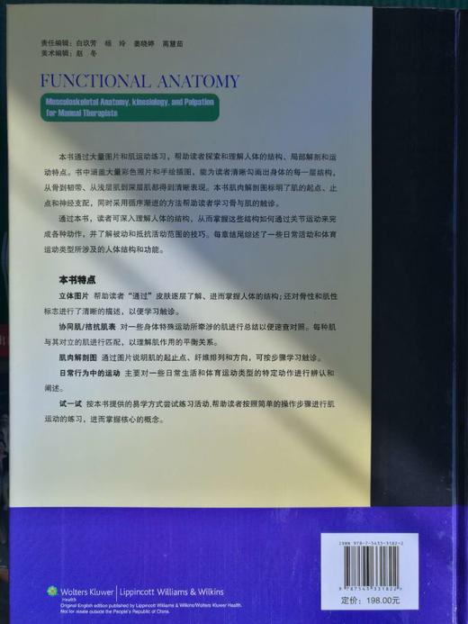 功能解剖:肌与骨骼的解剖,功能及触诊 人体结构解读 人体组织类型 运动解剖学书籍 商品图1