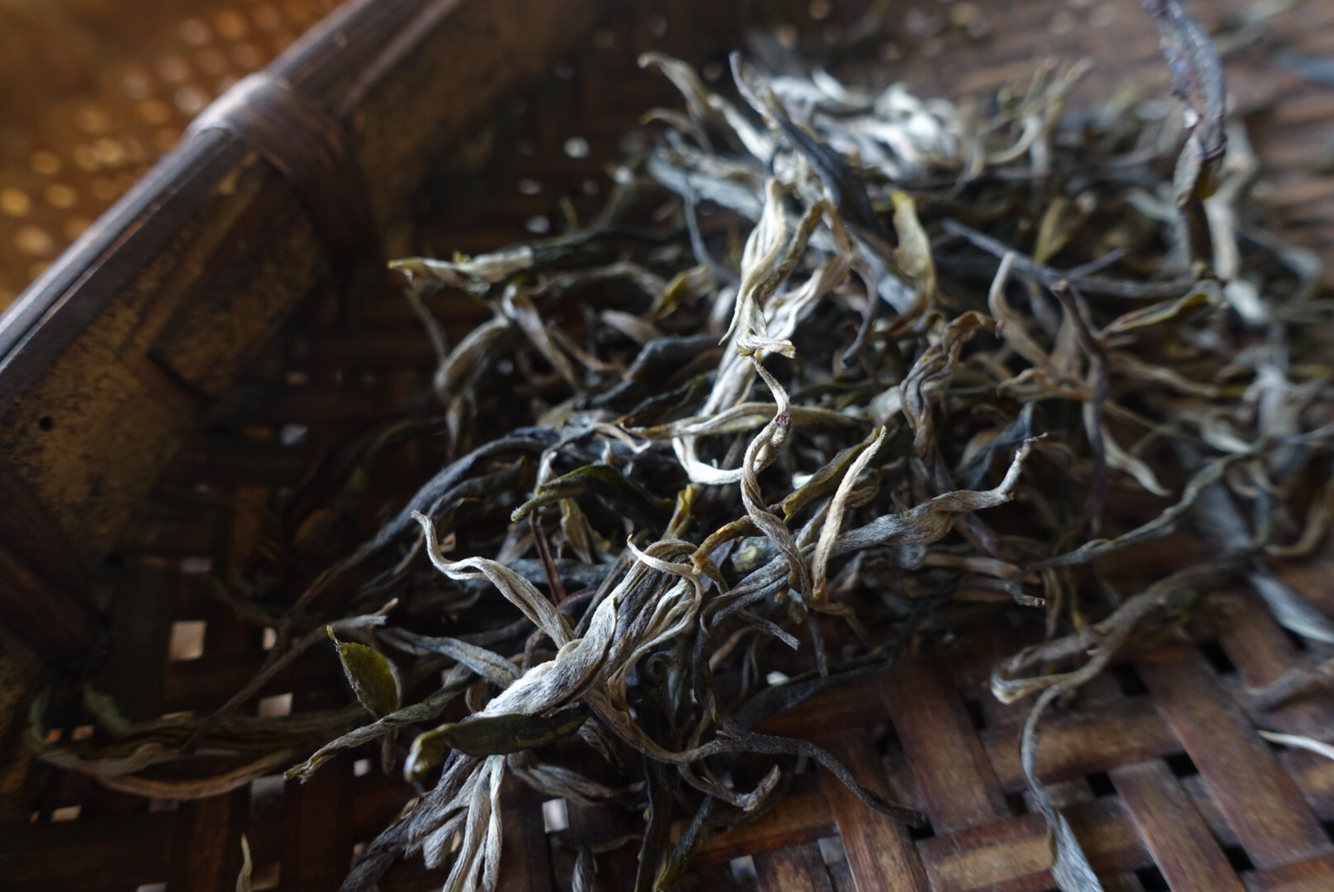 老班章—布朗山霸气王者,2017头春古树