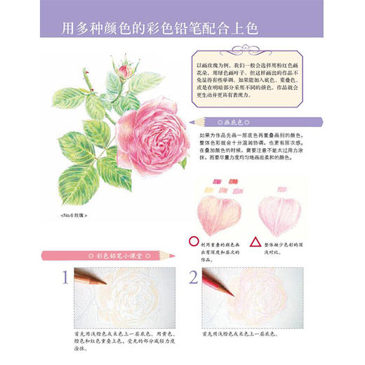 庭院花绘 商品图3