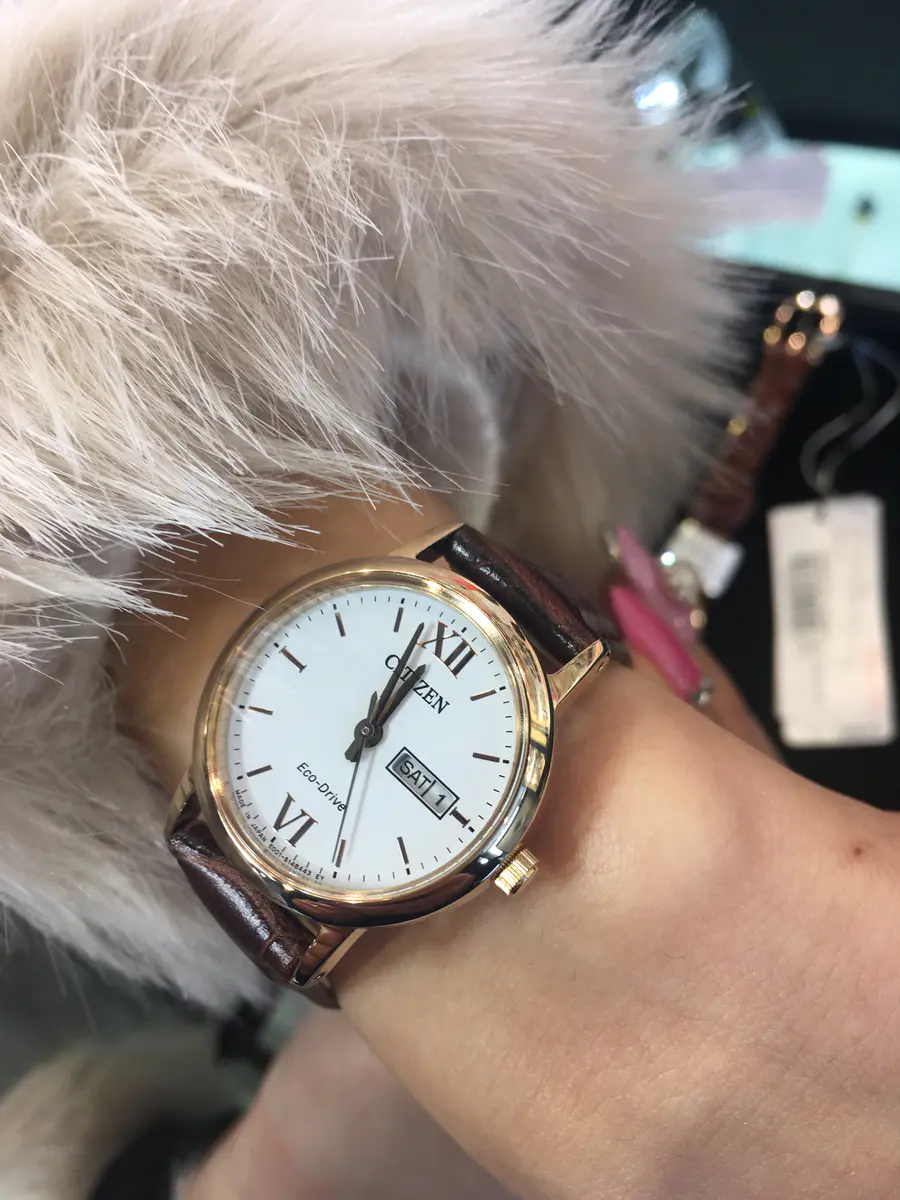 西铁城皮表带光动能女表 手表ew3252