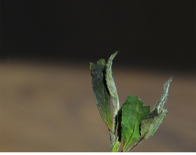 茶友定制专用链接