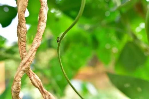 2025朴门自然教育工作坊第一期 商品图0