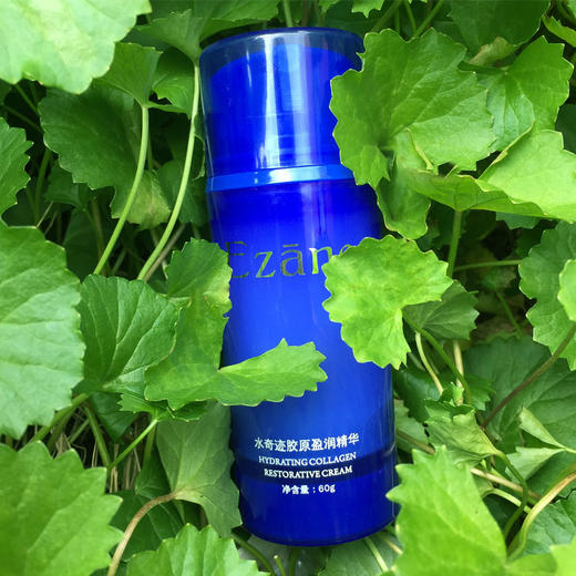 伊真 水奇迹胶原盈润精华60g 补水保湿 抗衰紧致 商品图1
