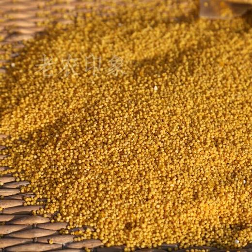 珍珠小米500g 商品图5