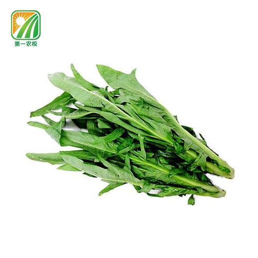 甜麦菜350g