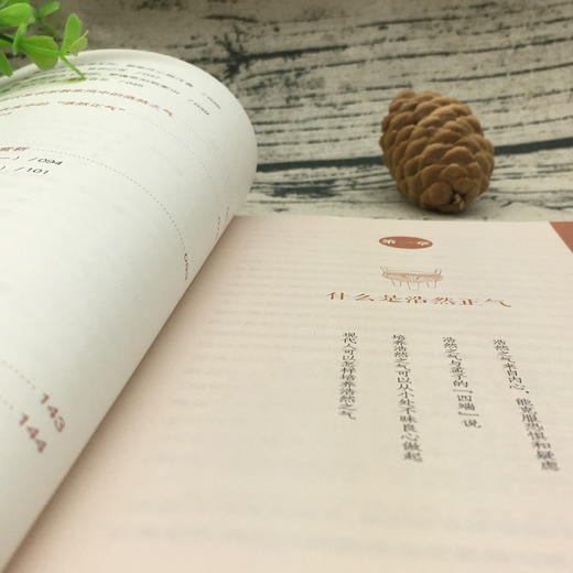 《浩然正气》 商品图1