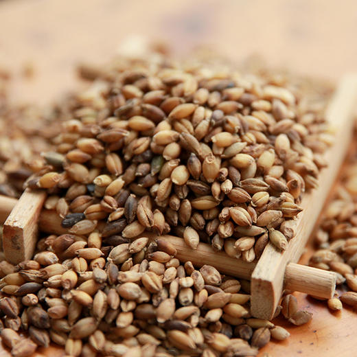 高原青稞营养丰富五谷杂粮550g