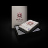 红印 普洱生砖礼盒（250g）中庸品味 花香浓郁 回味悠长 商品缩略图2