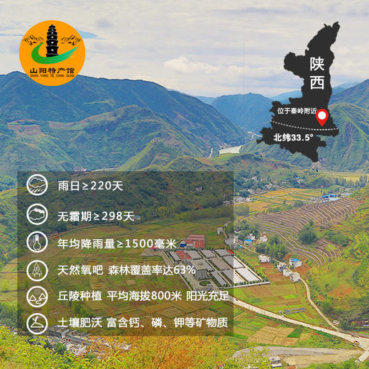 山阳县 植物蛋白 核桃乳 240ml*9 商品图4