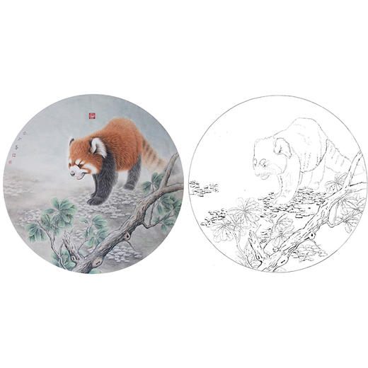 工笔动物白描底稿李保山小猫熊小品多种白描尺寸可选el08