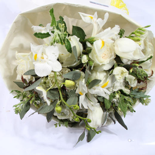 花音集设计师“烟圈”系列“净” 商品图3