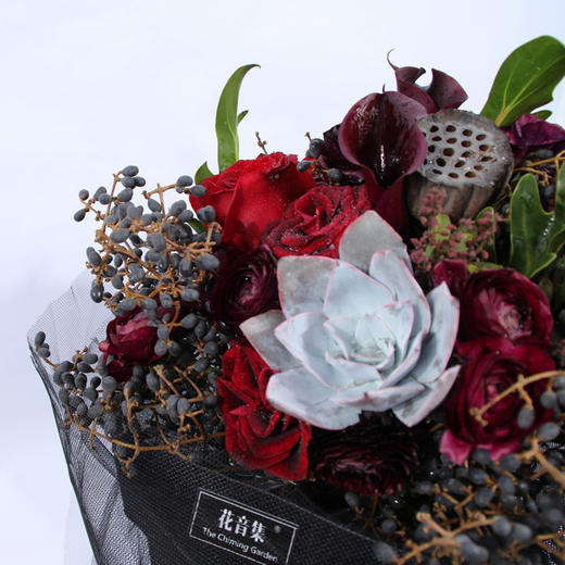 花音集设计师系列黑天鹅 商品图2