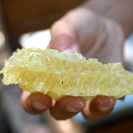 【包邮】密云山区天然巢蜜  农家野生土蜂蜜  巢蜜   250g 商品图3