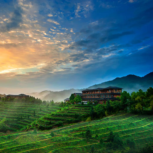 华祥苑茶庄园茶旅文化节活动周末1日游体验券